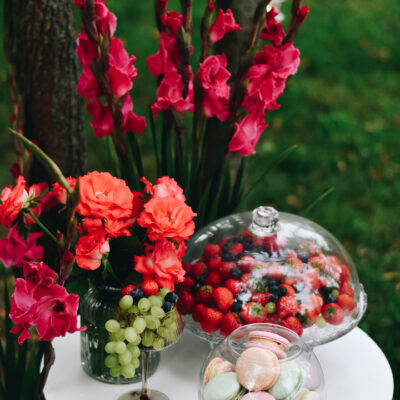 šeimos-ir-draugų-šventės-vasarojuje