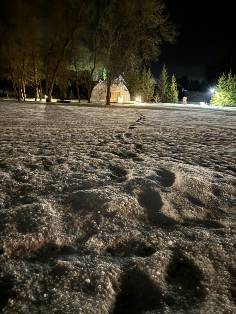 Šventės-VasaRojuje